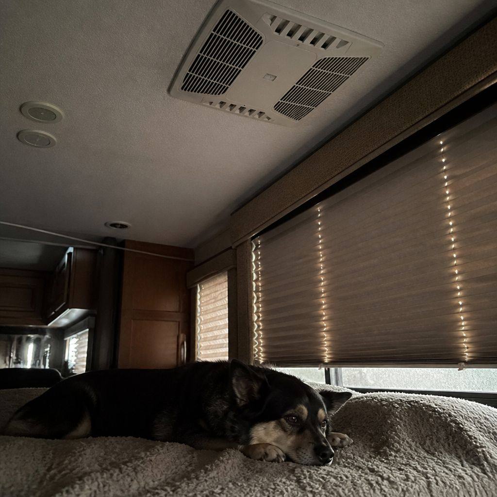 Dog sleeping on a bed under a rooftop A/C vent